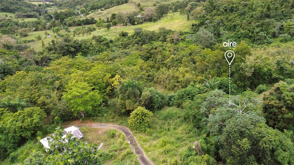 An aerial view shows a rural property with a small structure, a dirt path, and trees — Lot 7 Km 61 PR-3 Int DAGUAO WARD, CEIBA, PR