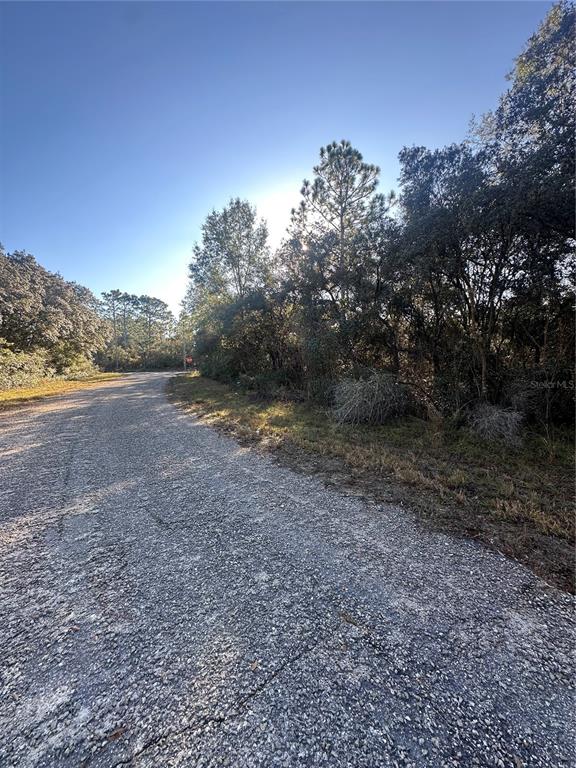 A paved road curves past a wooded lot under a clear blue sky — 3908 W TROPIC LANE, DUNNELLON, FL