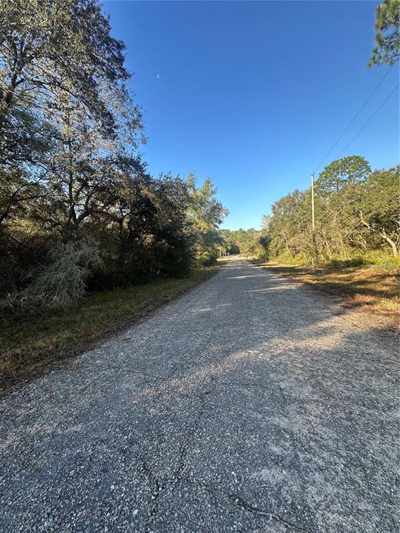 A paved road stretches forward, flanked by dense trees and a utility pole under clear skies — 3908 W TROPIC LANE, DUNNELLON, FL