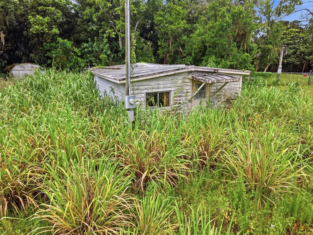 A small, weathered white shed sits surrounded by tall, overgrown grass and dense trees — 18052 2ND AVENUE, ORLANDO, FL