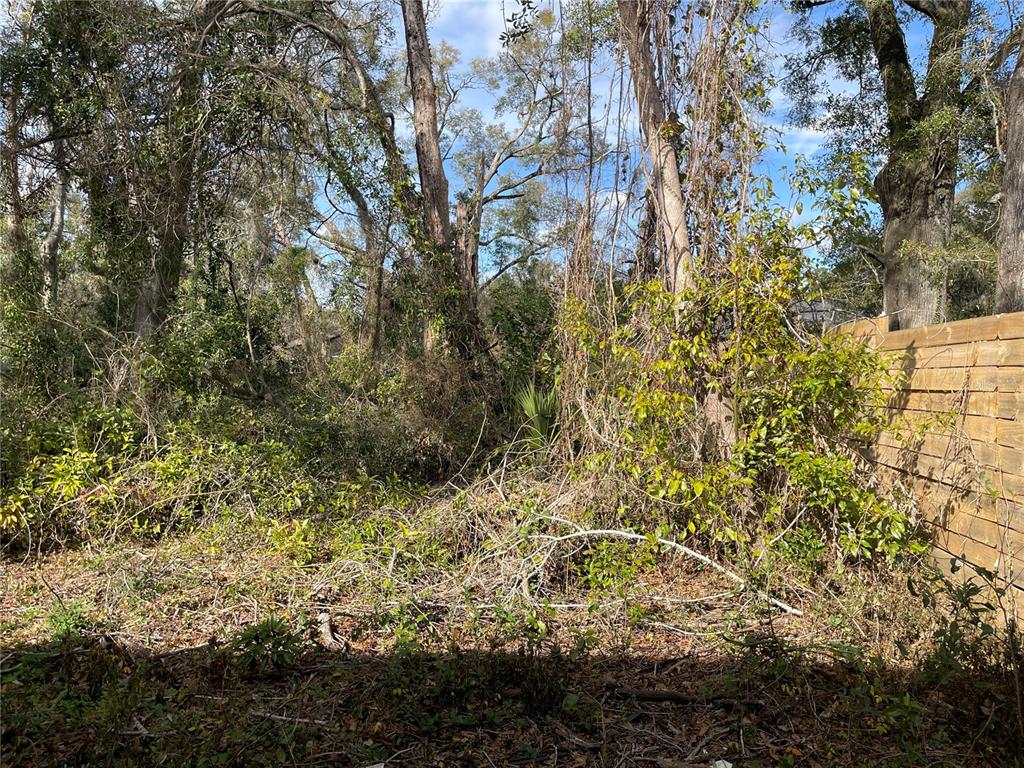 A wooded backyard area features dense vegetation, tall trees, and a wooden privacy fence — lot 2 NW 135TH TERRACE, ALACHUA, FL