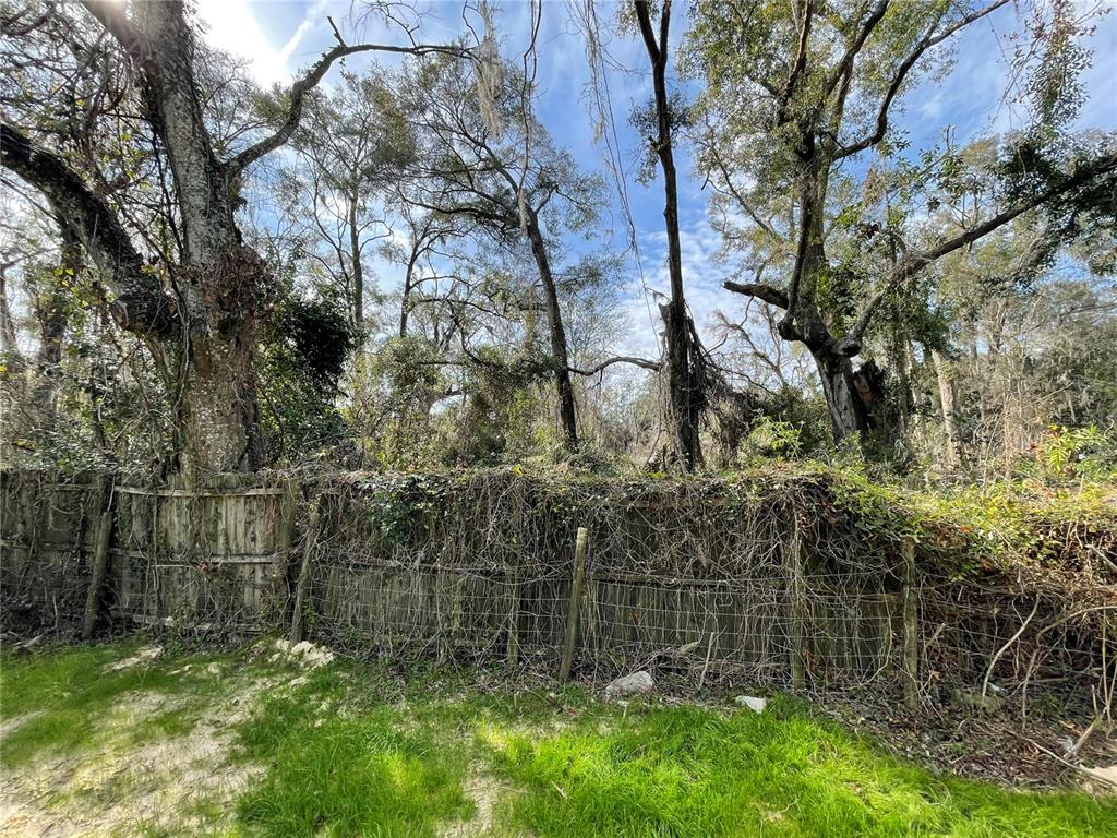 A weathered wooden fence covered in vines stands before a dense, wooded area — lot 2 NW 135TH TERRACE, ALACHUA, FL