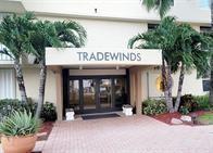The exterior entrance of a building named Tradewinds features glass doors and palm trees — 1009 N Ocean Boulevard N # 503, Pompano Beach FL 33062, POMPANO BEACH, FL
