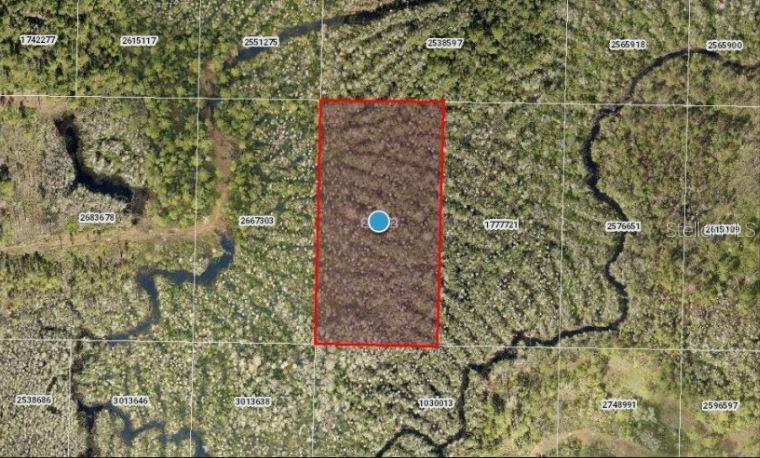 This aerial map shows a rectangular plot of land highlighted in red within a forest — CALVIN LEE ROAD, GROVELAND, FL