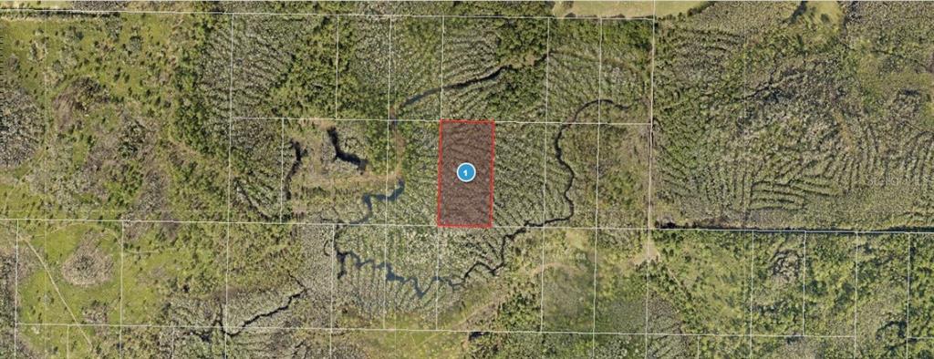 An aerial map shows a rectangular plot of land highlighted in red among wooded terrain — CALVIN LEE ROAD, GROVELAND, FL