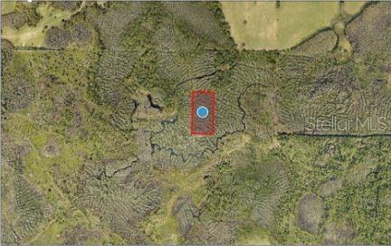 An aerial map view shows a rectangular property outlined in red within a wooded area — CALVIN LEE ROAD, GROVELAND, FL