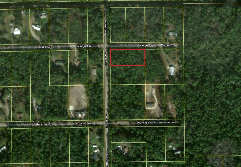 2515 BEECH BOULEVARD, BUNNELL, FL — photo 2 of 3