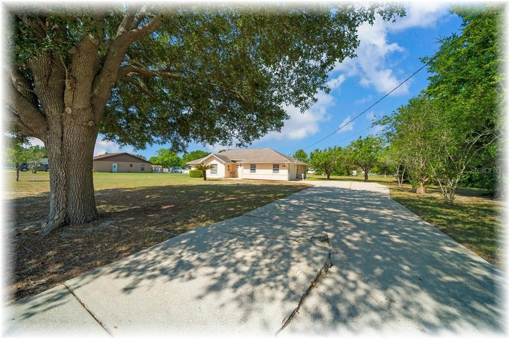 A single-story house with a concrete driveway and a large tree in the front yard — 8740 SE 61 AVENUE, OCALA, FL