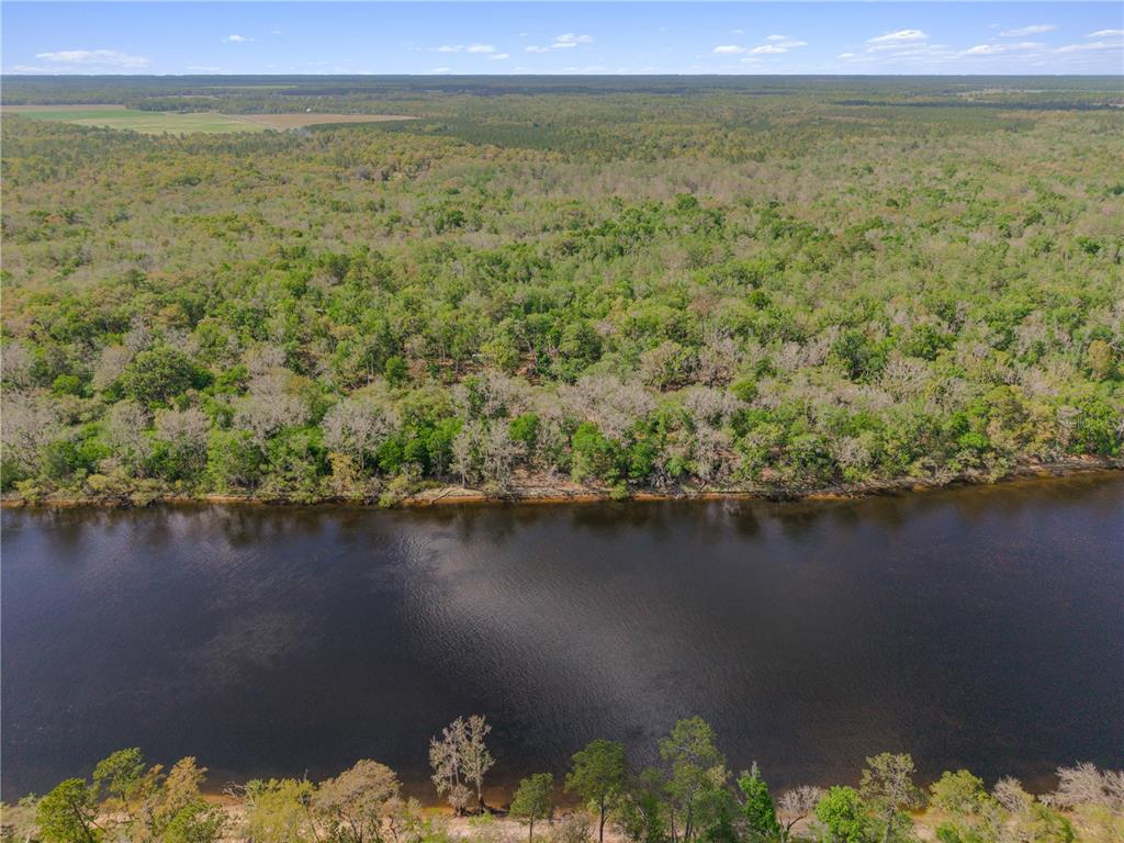 An aerial view shows a river flowing past a dense forest with a distant field — 615 NE 904 STREET, OLD TOWN, FL