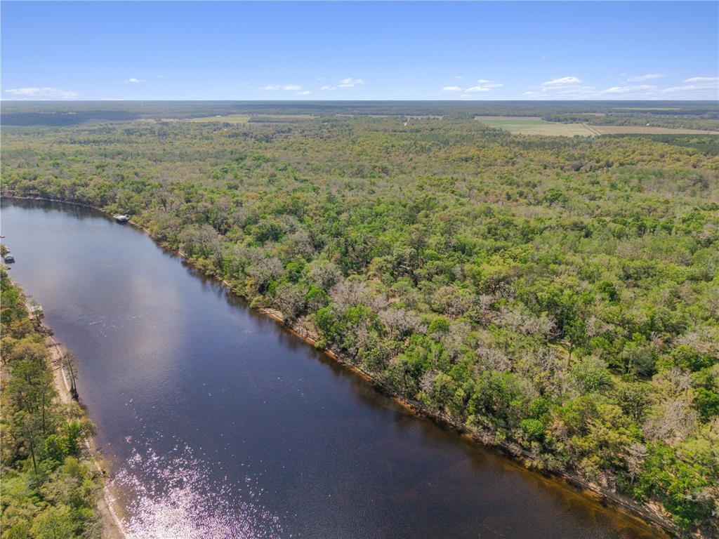 An aerial view shows a wide river flowing past a dense forest with scattered trees — 615 NE 904 STREET, OLD TOWN, FL