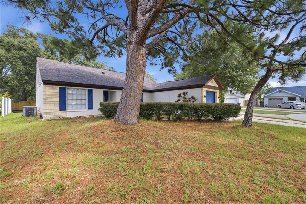 A single-story house with a stone facade, blue shutters, and a large pine tree — 1901 CASTLE BAY COURT, OLDSMAR, FL