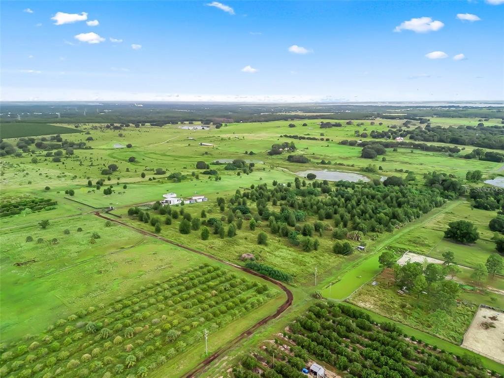 An aerial view shows a large rural property with orchards, pastures, and a small pond — PUNKIN CENTER ROAD, LEESBURG, FL