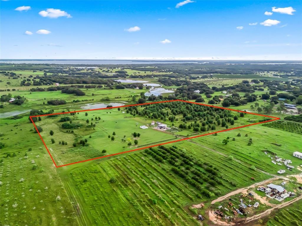 An aerial view shows a large, rectangular plot of land outlined in red with trees — PUNKIN CENTER ROAD, LEESBURG, FL