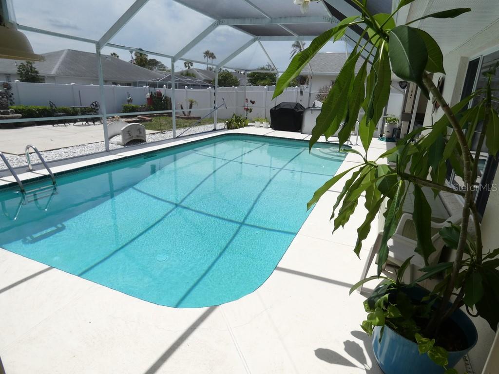 A screened-in swimming pool with a patio area and a potted plant in the foreground — 8158 WINDING OAK LANE, SPRING HILL, FL