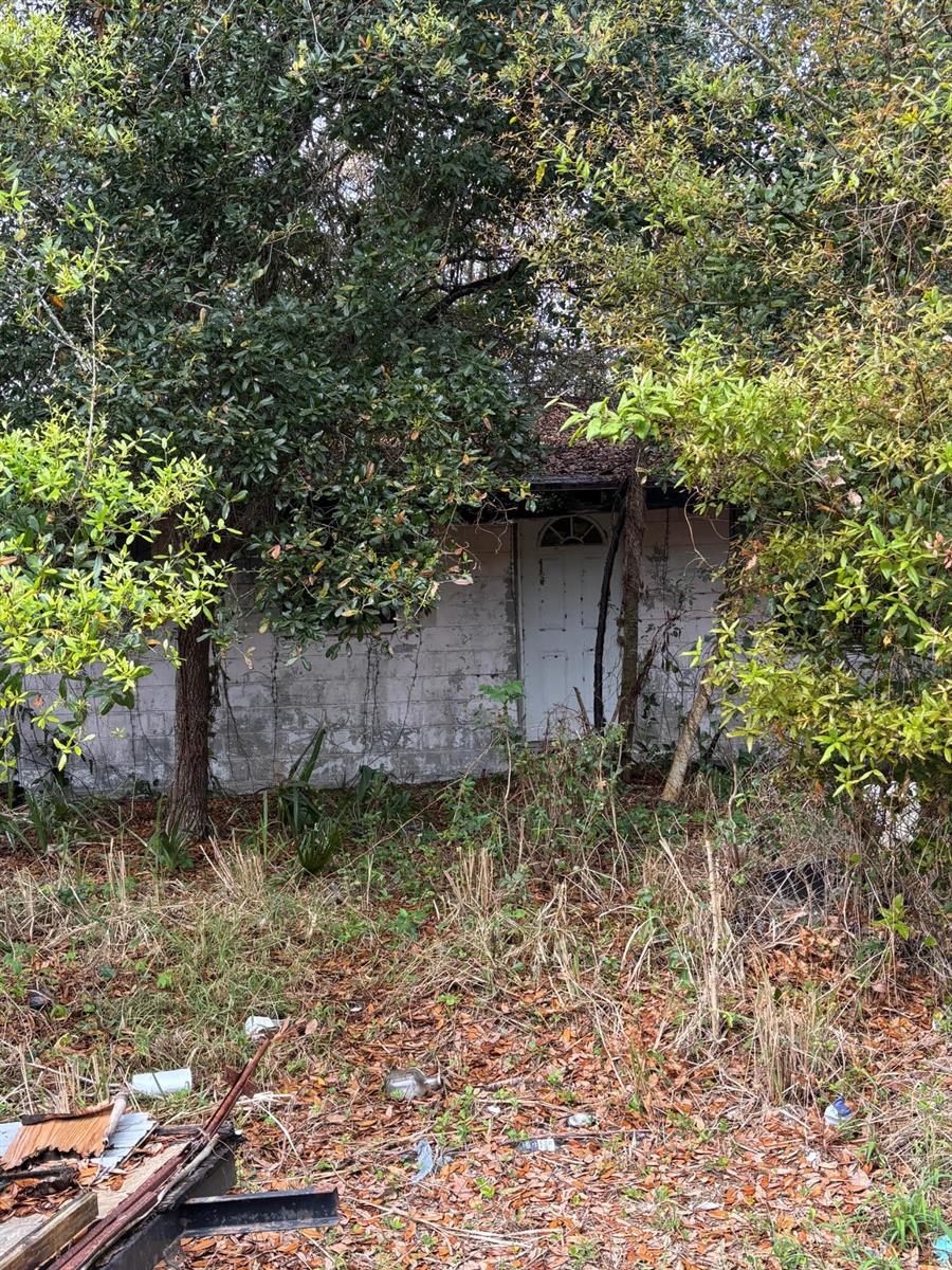 An overgrown, weathered cinder block structure with a white door sits nestled among dense trees — 8365 63rd Avenue, Vero Beach FL 32967, VERO BEACH, FL