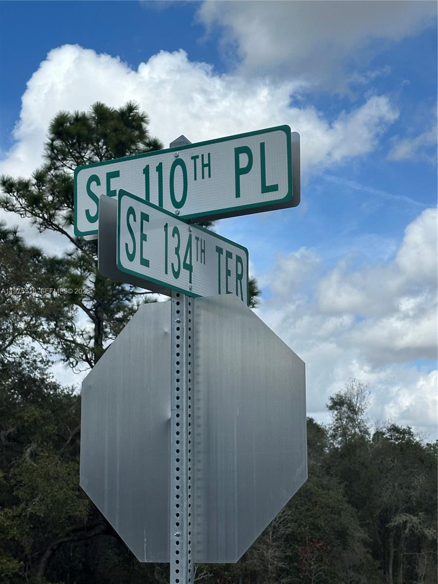 A street sign shows the intersection of SE 110th Pl and SE 134th Ter — OTHER CITY - IN THE STATE OF FLORIDA, FL
