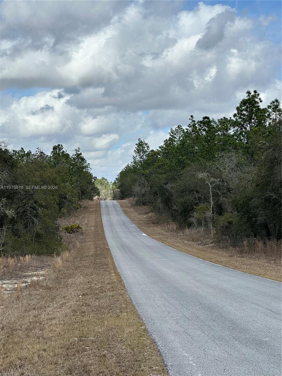 A paved road stretches into the distance between wooded areas under a cloudy sky — OTHER CITY - IN THE STATE OF FLORIDA, FL