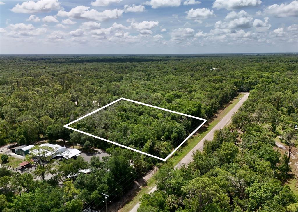 An aerial view shows a rectangular, wooded plot of land outlined in white beside a road — SW GATOR TRAIL, ARCADIA, FL