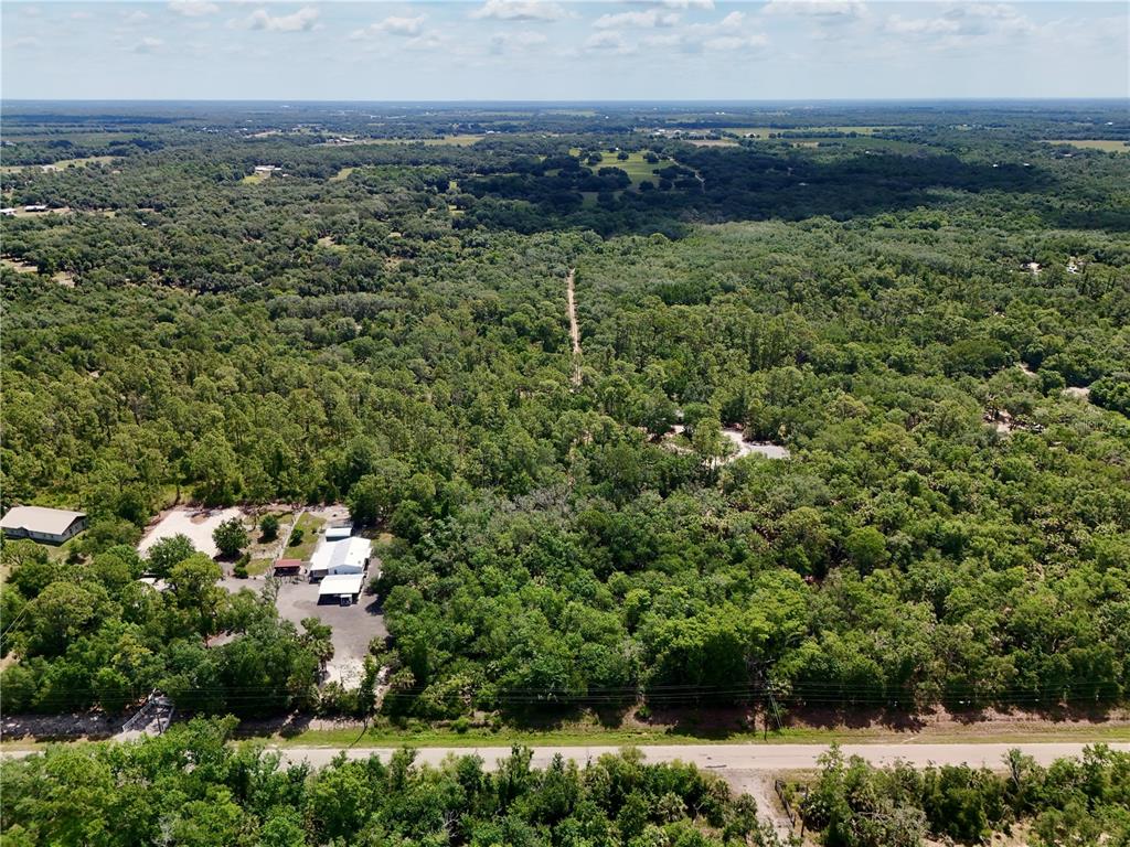 An aerial view shows a rural property with a house and outbuildings surrounded by trees — SW GATOR TRAIL, ARCADIA, FL