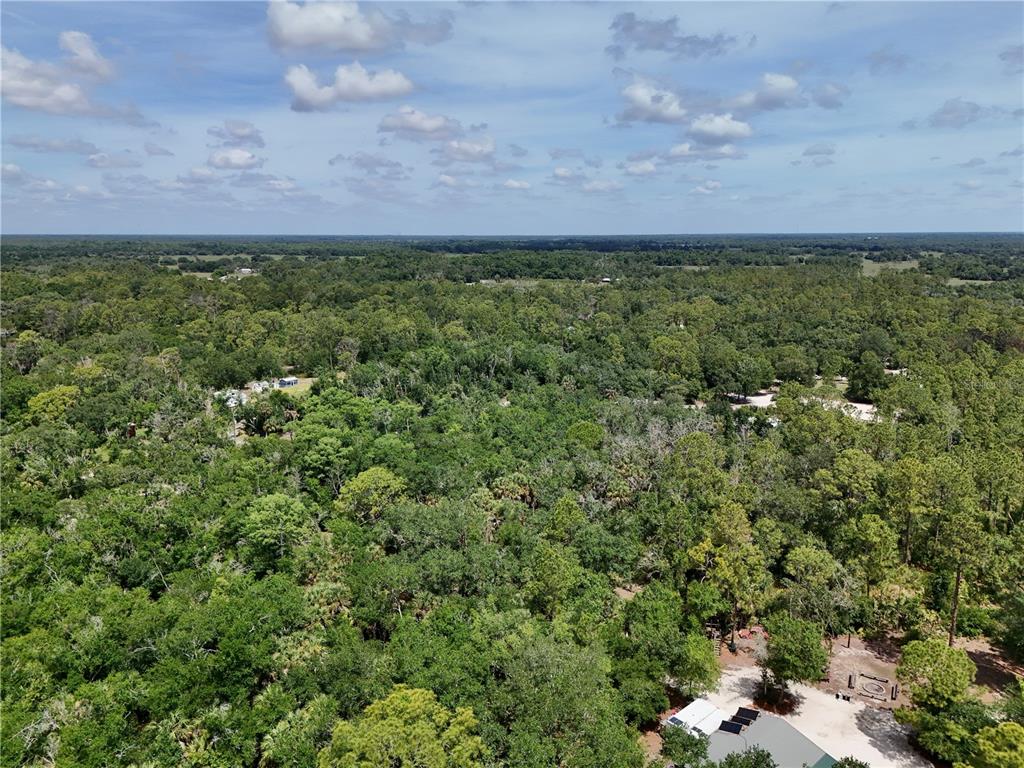 An aerial view shows a dense, wooded landscape with scattered residential structures and clearings — SW GATOR TRAIL, ARCADIA, FL