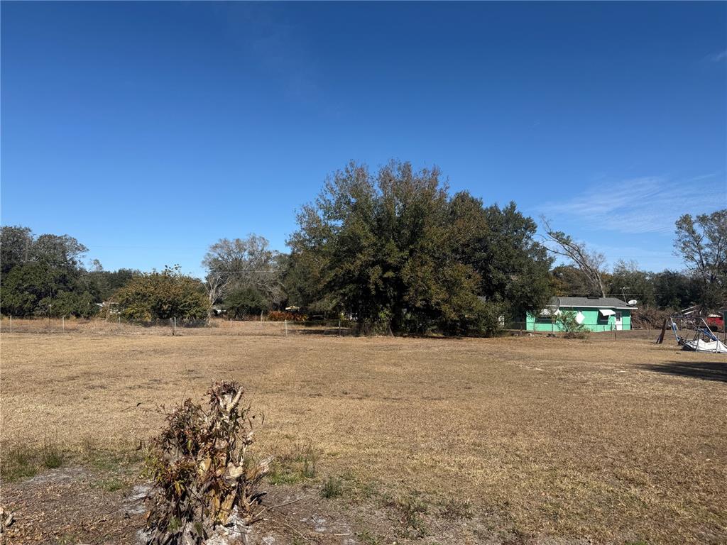 A large, flat, grassy lot features a prominent tree and a small green house nearby — 150 CHURCH AVENUE, MULBERRY, FL