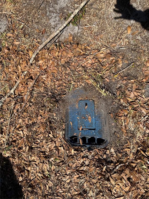 A blue plastic utility box is embedded in the ground surrounded by dry leaves — 150 CHURCH AVENUE, MULBERRY, FL