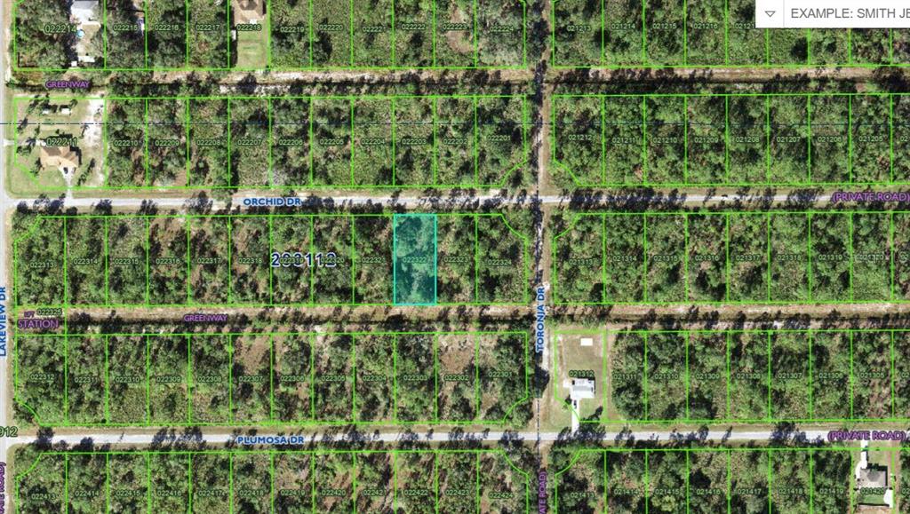 This is a map showing a highlighted rectangular land parcel among many other subdivided lots — 905 ORCHID DR, INDIAN LAKE ESTATES, FL