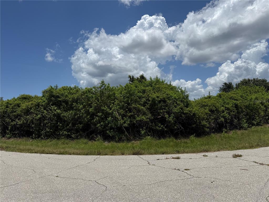A view of a vacant, overgrown lot from an adjacent paved road — 12526 RATHWELL AVENUE, PORT CHARLOTTE, FL
