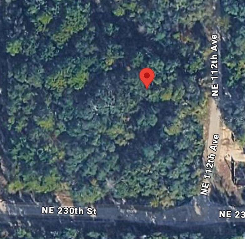 This is a satellite map view of a wooded, undeveloped plot of land — NO SITUS, FORT MC COY, FL