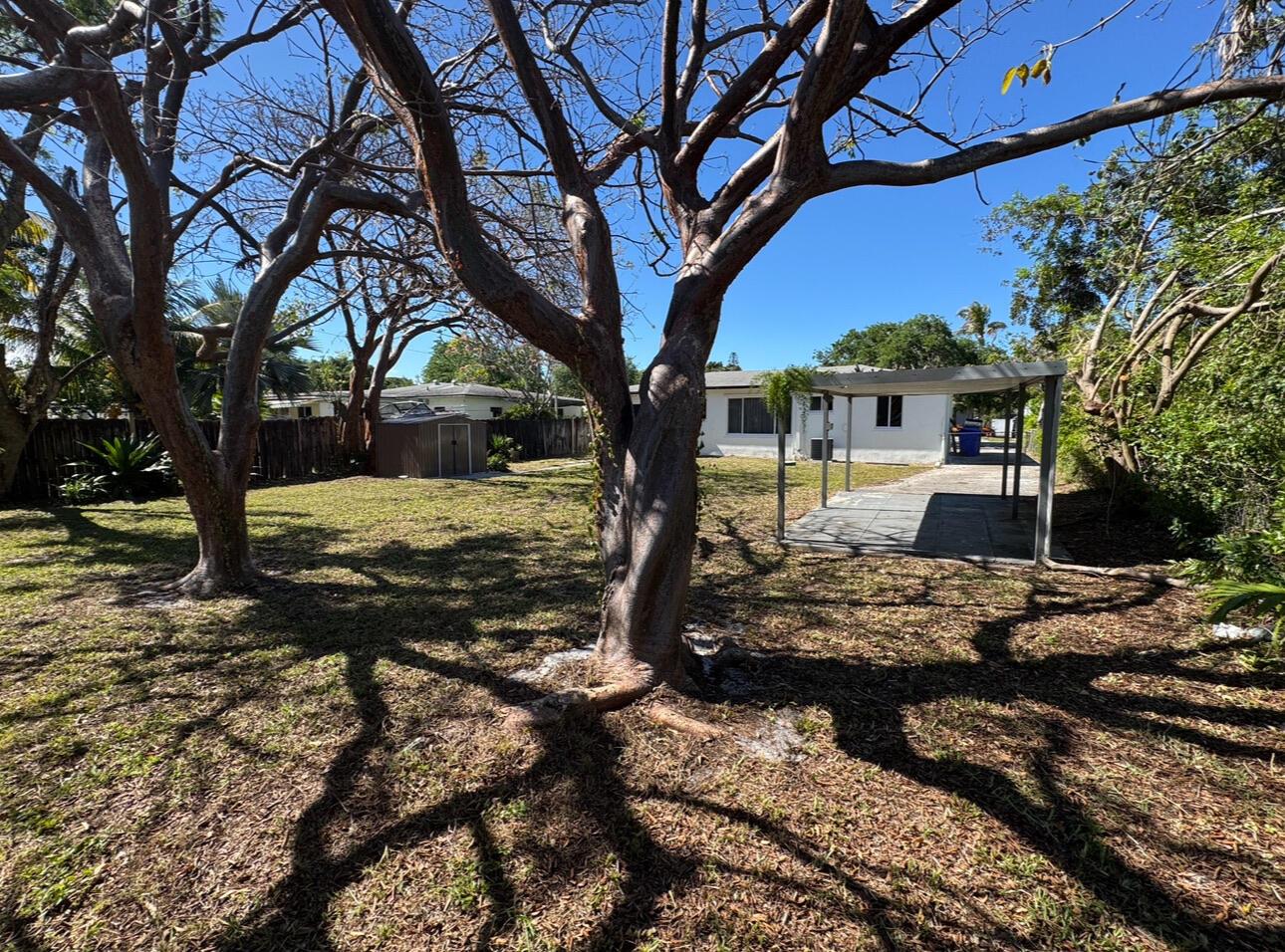 A backyard with large trees, a small storage shed, and a covered patio area — 2648 Washington Street, Hollywood FL 33020, HOLLYWOOD, FL