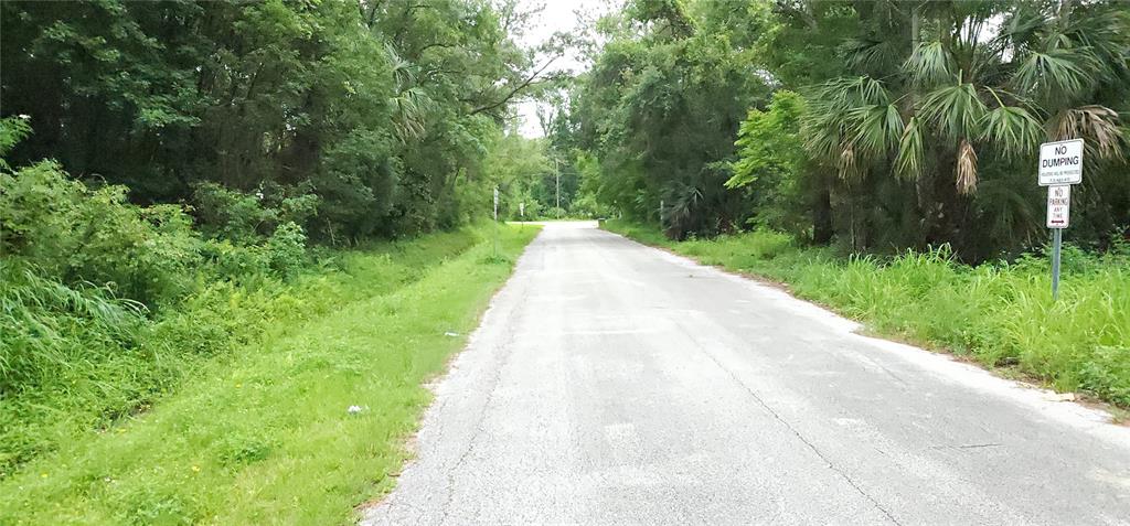 A paved road stretches through a wooded area with a no dumping sign on the right — PARK AVENUE, SANFORD, FL