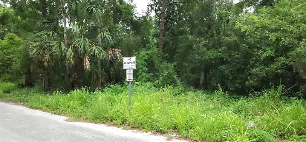 A vacant, wooded lot with a no dumping and no parking sign by the road — PARK AVENUE, SANFORD, FL