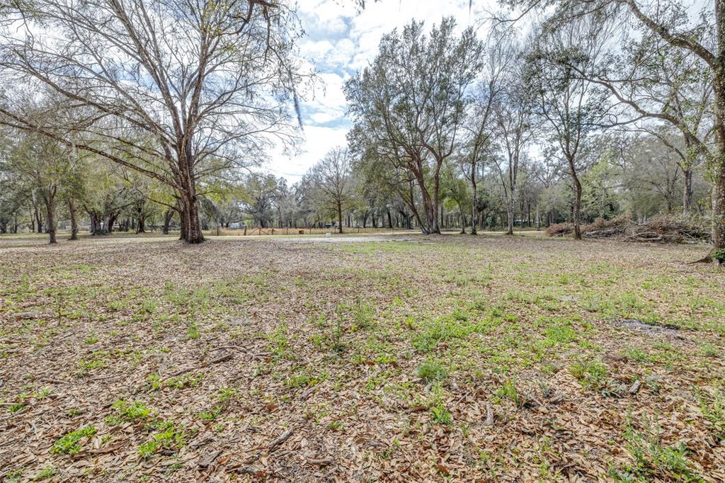 A large, open, grassy lot with scattered trees and fallen leaves under a cloudy sky — SE 124TH AVENUE, WEBSTER, FL