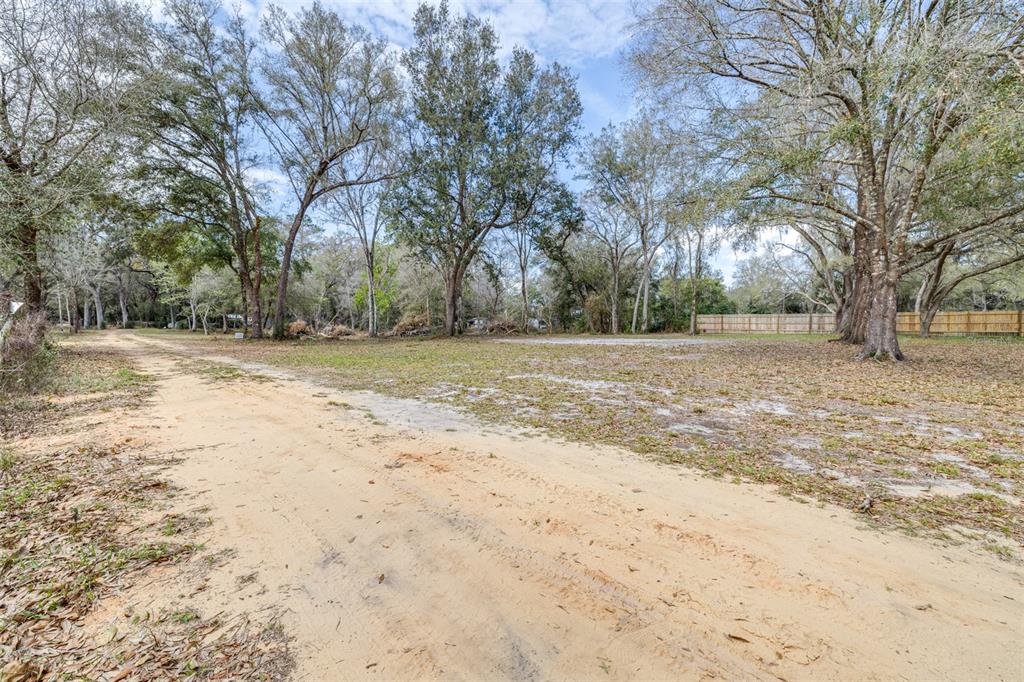 A dirt path leads through a wooded lot with scattered leaves and a wooden fence — SE 124TH AVENUE, WEBSTER, FL