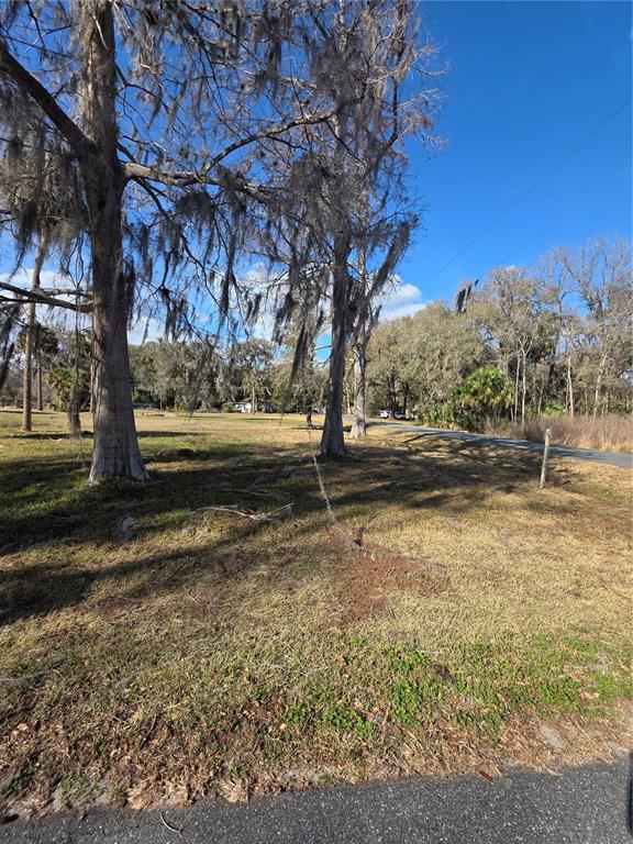 TBD CR 426, LAKE PANASOFFKEE, FL — photo 3 of 3