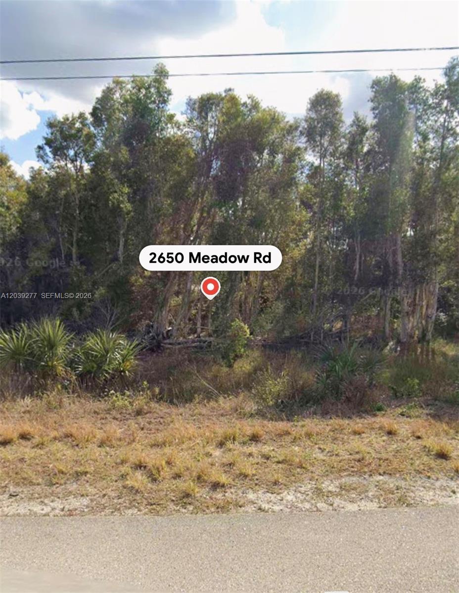 A wooded, undeveloped lot is viewed from a paved road — 2650 Meadow RD, Lehigh Acres FL 33974, LEHIGH ACRES, FL