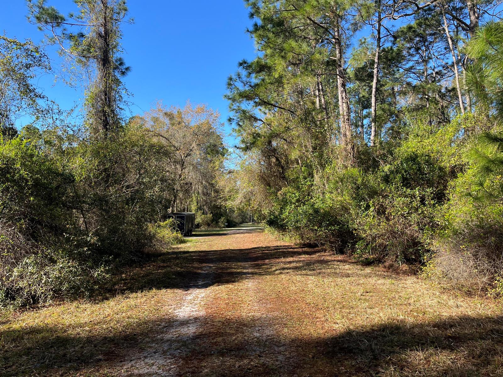 A dirt path leads through a wooded area with a small trailer parked on the left — 208 SE 3rd Street, FL 32139, FL