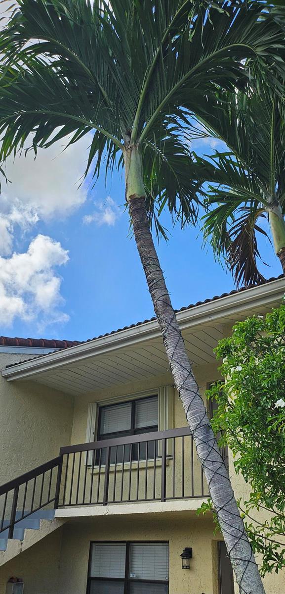 A tall palm tree stands in front of a two-story building with a balcony — 22465 SW 61st Way E # 247, Boca Raton FL 33428, BOCA RATON, FL