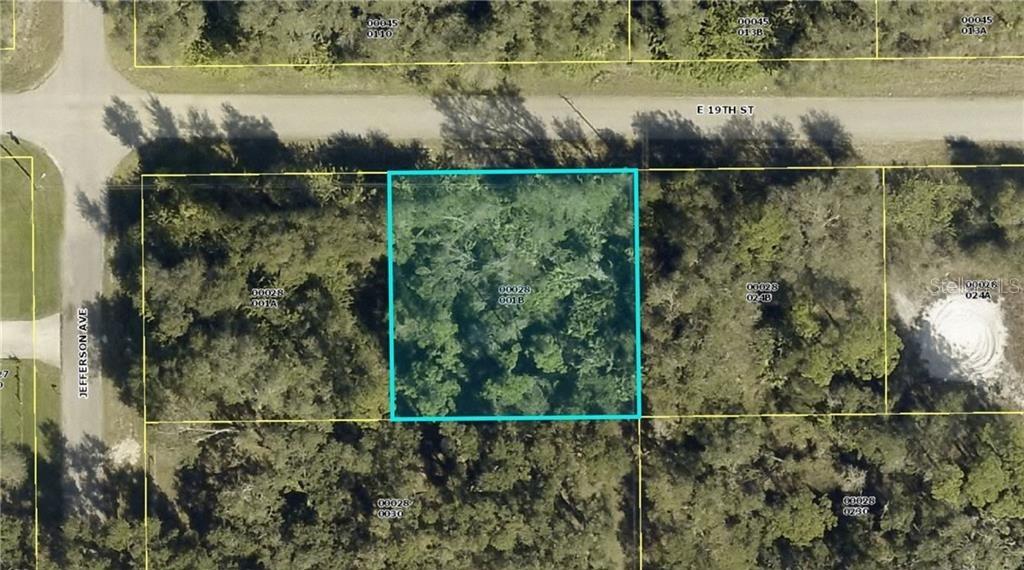 An aerial map view shows a rectangular, wooded lot outlined in blue along a road — 2602 E 19TH STREET, LEHIGH ACRES, FL