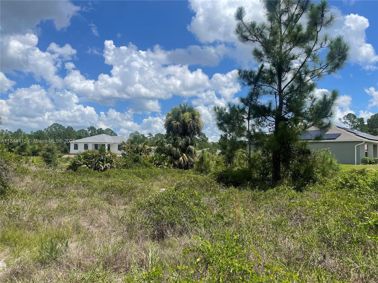 A vacant, overgrown lot sits in front of two suburban houses under a cloudy sky — 655 KNAPP ST, Lehigh Acres FL 33974, LEHIGH ACRES, FL