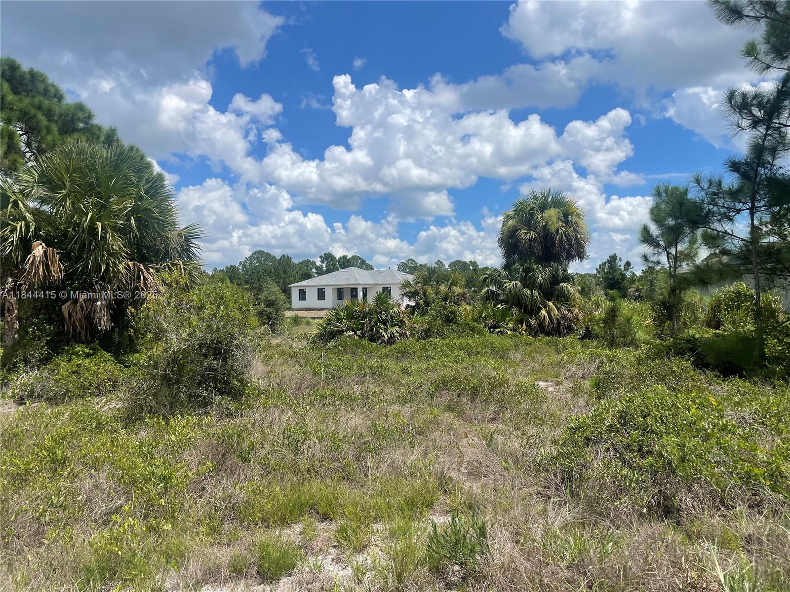 A white house stands in the distance behind a field of wild grass and palm trees — 655 KNAPP ST, Lehigh Acres FL 33974, LEHIGH ACRES, FL