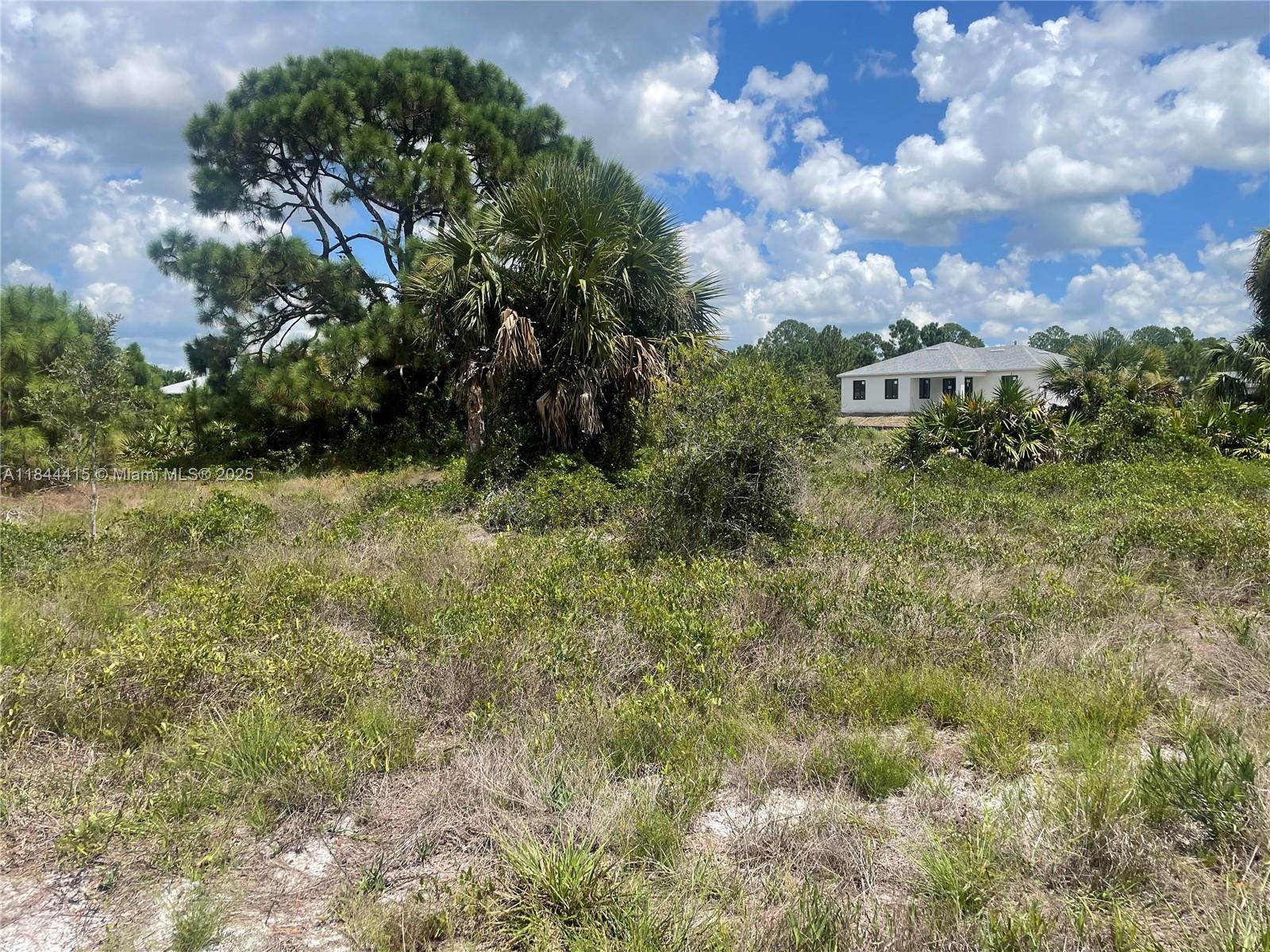An undeveloped, grassy lot features scattered shrubs, palm trees, and a house in the background — 655 KNAPP ST, Lehigh Acres FL 33974, LEHIGH ACRES, FL