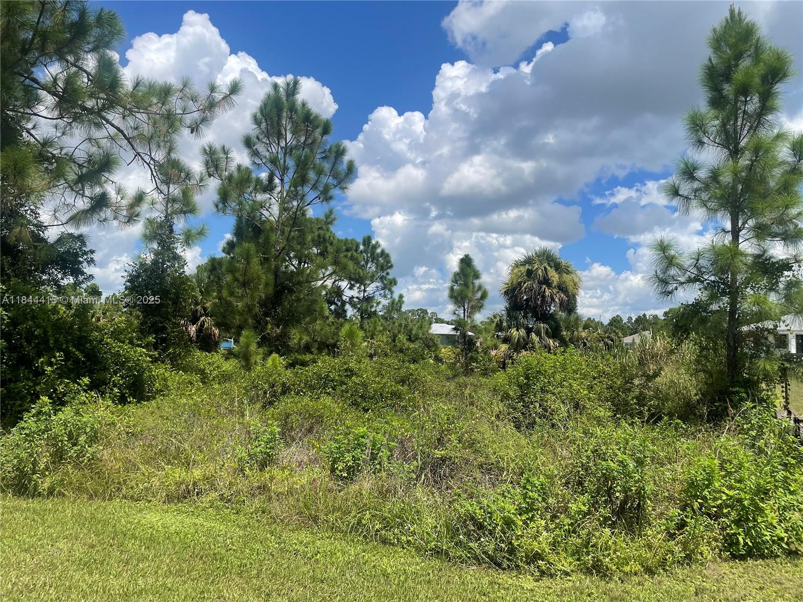 A vacant, overgrown lot features scattered pine trees and dense vegetation under a cloudy sky — 655 KNAPP ST, Lehigh Acres FL 33974, LEHIGH ACRES, FL