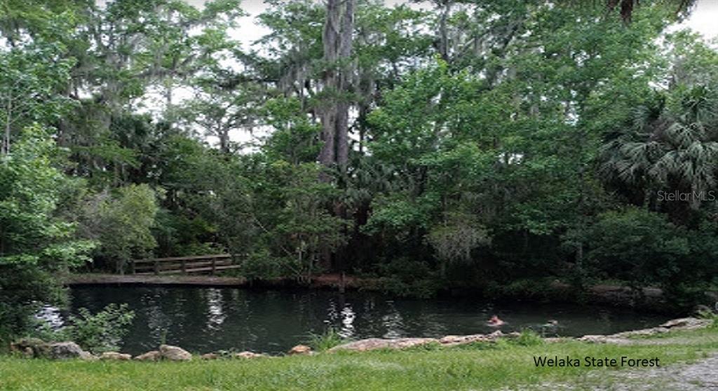 A natural spring pool surrounded by dense forest trees and a wooden footbridge — 175 PARK AVENUE, INTERLACHEN, FL