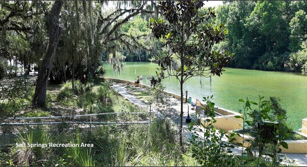 A concrete walkway leads along the edge of a natural spring at Salt Springs Recreation Area — 175 PARK AVENUE, INTERLACHEN, FL