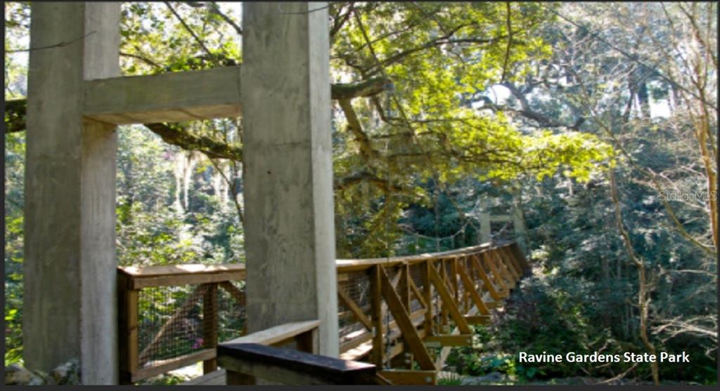 A wooden suspension bridge spans a lush, wooded ravine at Ravine Gardens State Park — 175 PARK AVENUE, INTERLACHEN, FL