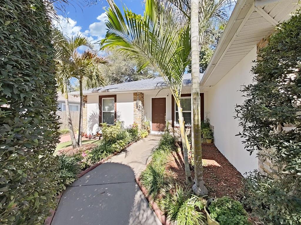 A concrete walkway leads to the front entrance of a house with palm trees — 3306 E CHELSEA STREET, TAMPA, FL