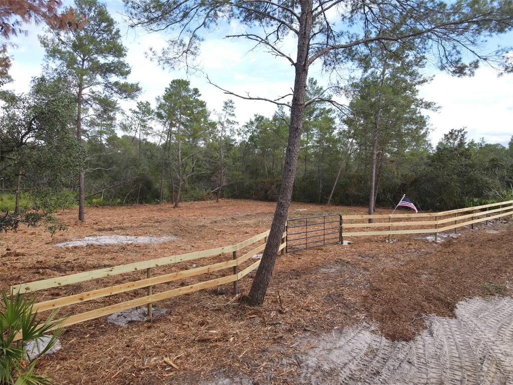A cleared, fenced lot with a metal gate and pine trees in a wooded area — KENTUCKY STREET, PAISLEY, FL