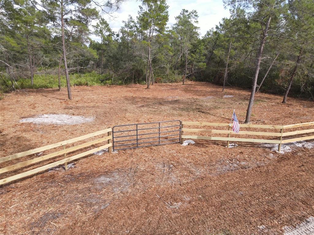 A fenced, cleared lot features a metal gate and scattered pine trees — KENTUCKY STREET, PAISLEY, FL
