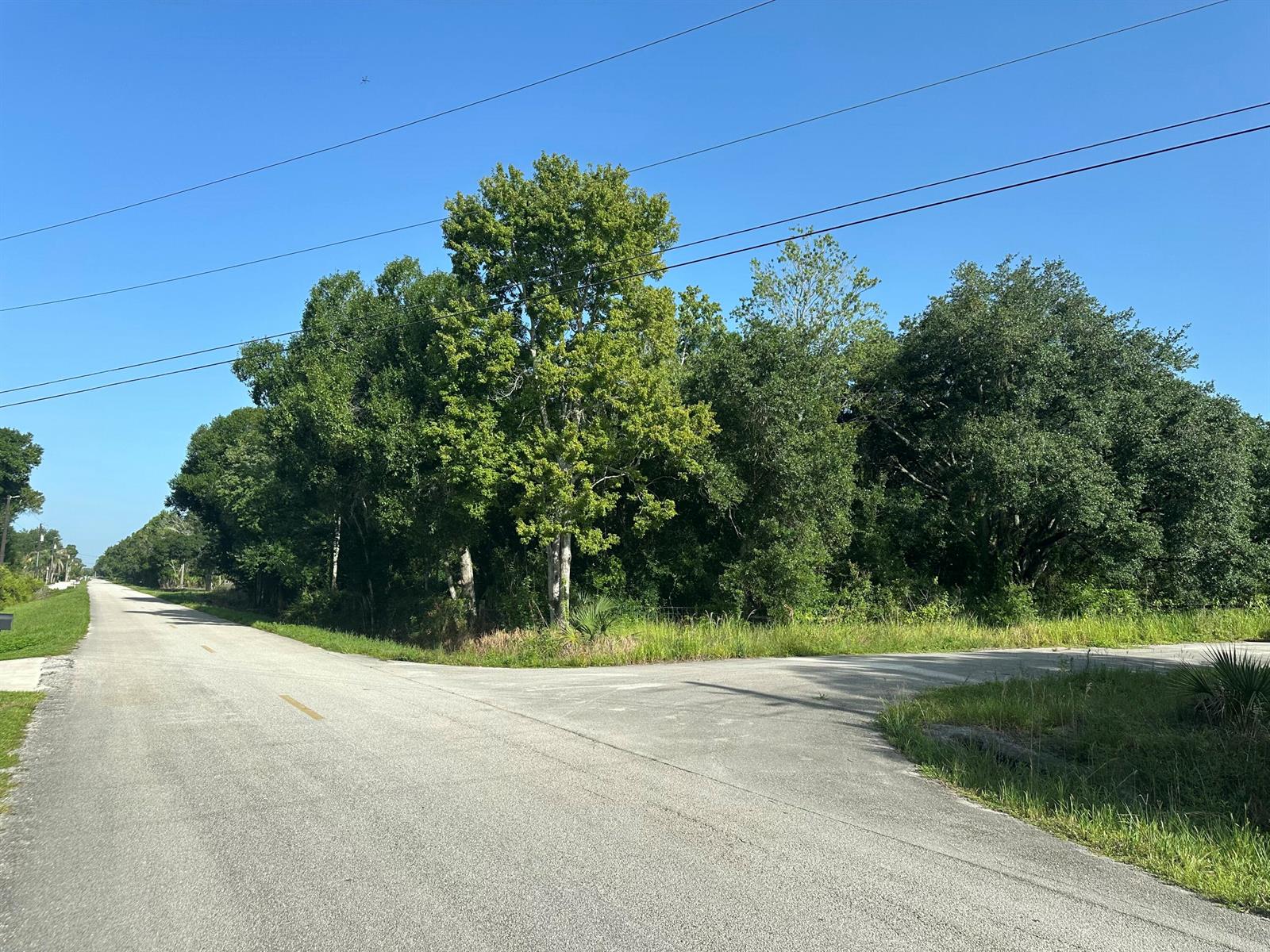 A paved road intersection is surrounded by dense green trees under a clear blue sky — 623 NE 138TH Street, Okeechobee FL 34972, OKEECHOBEE, FL